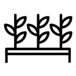 Грядки